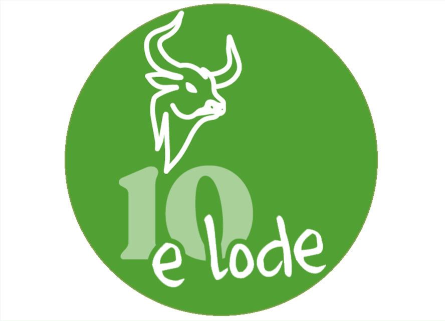 Notizie