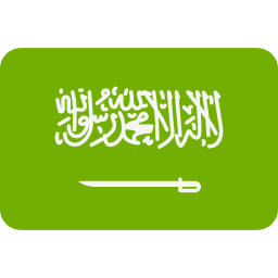 التشاور مع الموقع باللغة العربية 