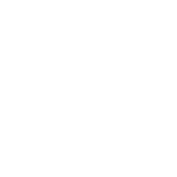 Eco Dizionario comune di Taurisano